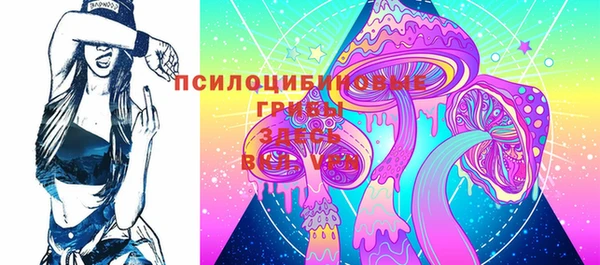 герыч Козловка