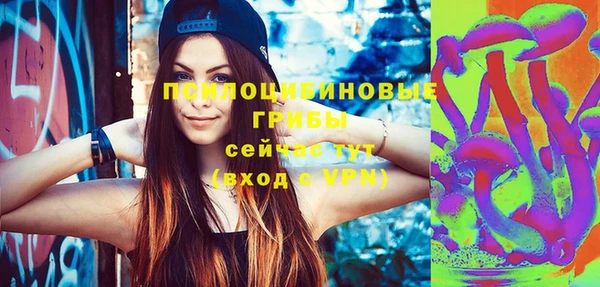 герыч Козловка