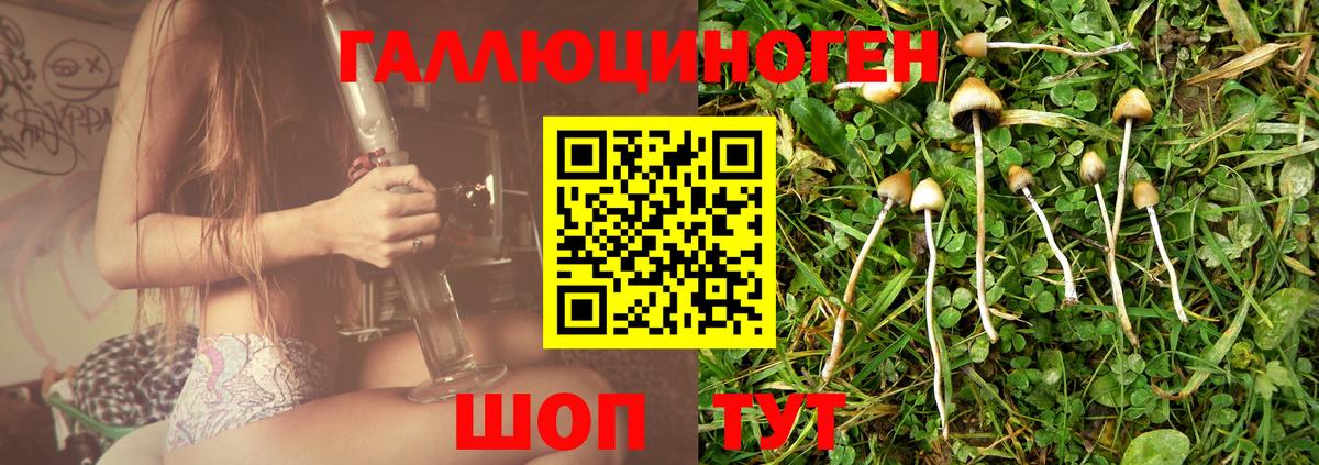 Нерюнгри  Галлюциногенные грибы GOLDEN TEACHER  Вход с VPN 